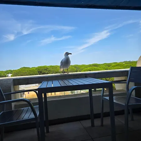 At Port Camargue Le Grau-du-Roi