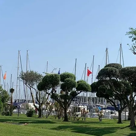 At Port Camargue *